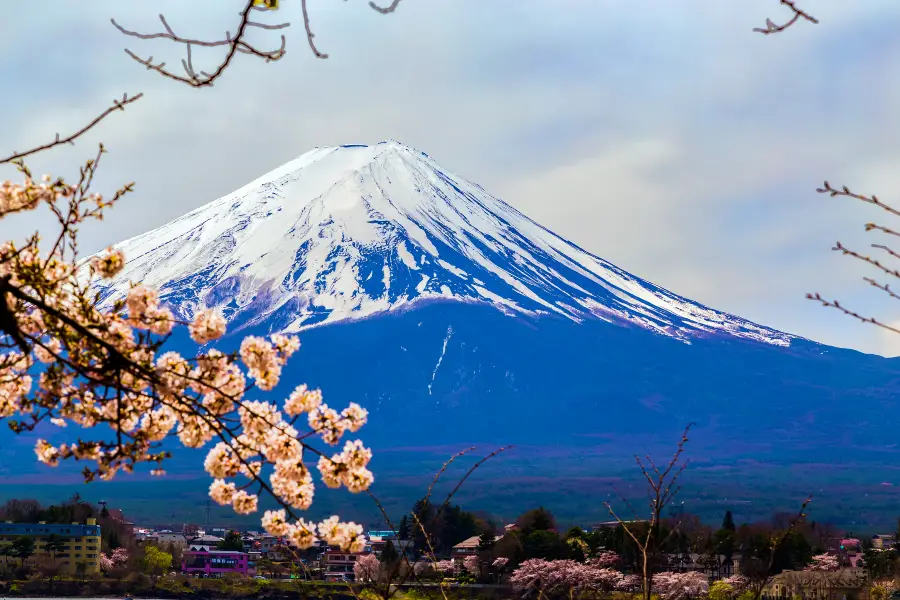 河口湖想像の森