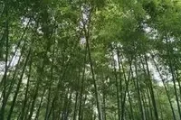 서쪽의 서산공원