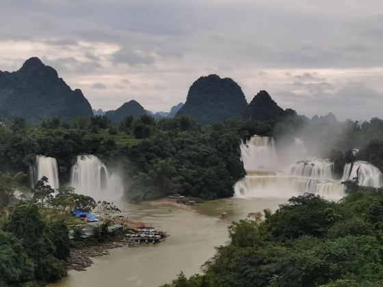 徳天老木綿風景区