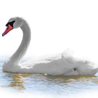 Бутик Отели в г. Слима