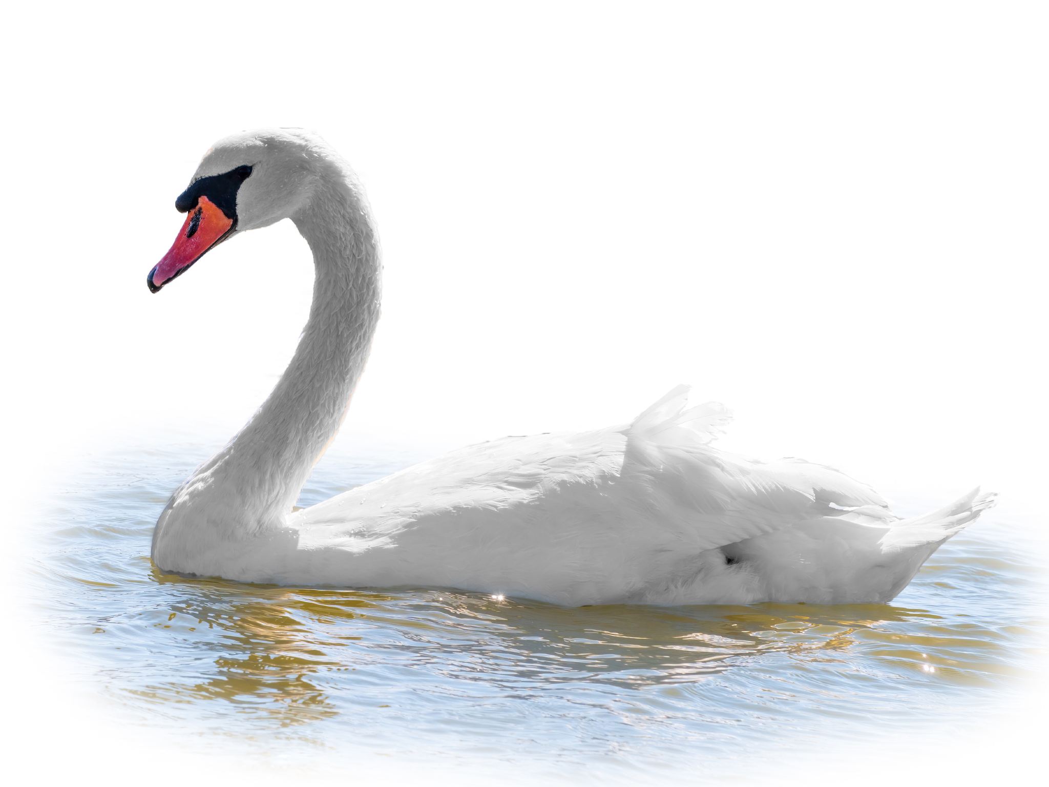 バーンホフ通り+リマト川+アウグスティーナーガッセ+リンデンホフの丘【行程調整可能】