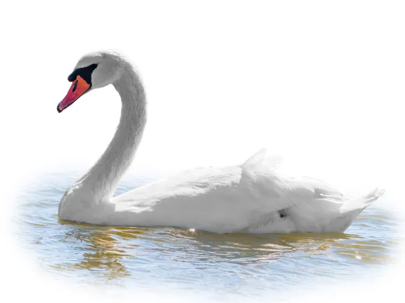 Отзывы об отеле Ambassador-Monaco