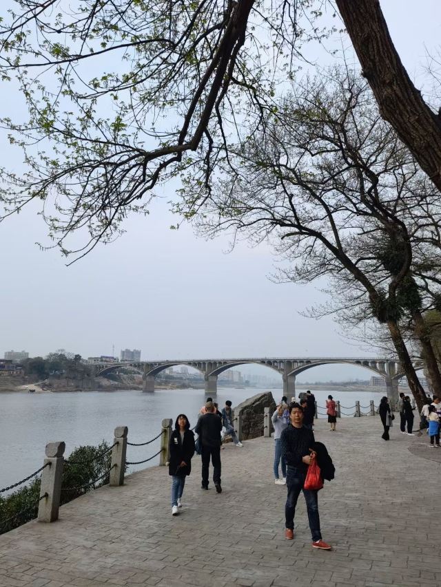 오계비림