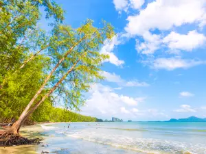 芭堤雅的熱門人氣景點