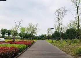 蝶湖公園