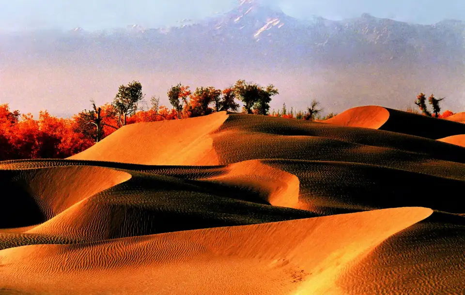 4_Tukai Desert