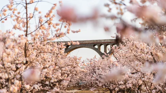 桜桃溝景観地