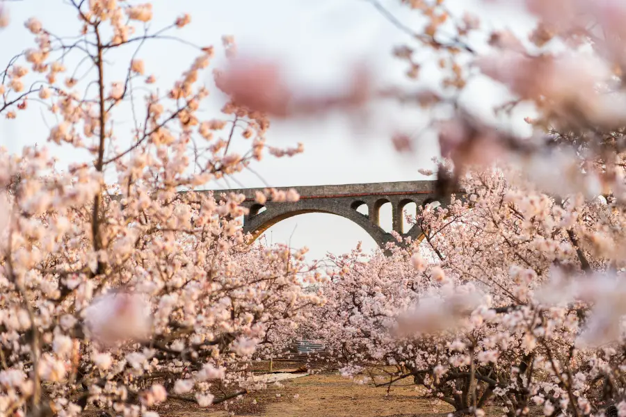 桜桃溝景観地