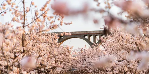 櫻桃溝景區