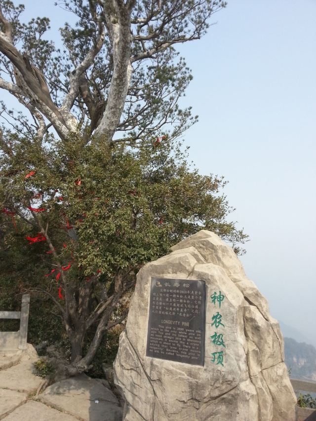 션농샨