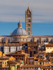 Siena Baptistry