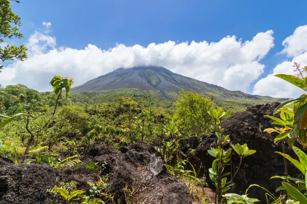 Vé máy bay Arequipa TP. Hồ Chí Minh