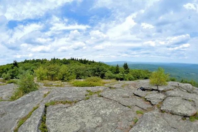 Отели рядом с достопримечательностью «Крокосорос Ков»