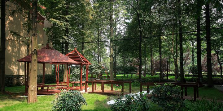 Tongzichong Forest Adventure Park