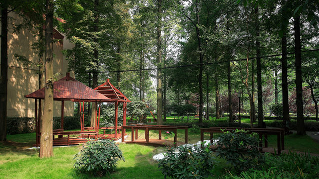 Tongzichong Forest Adventure Park