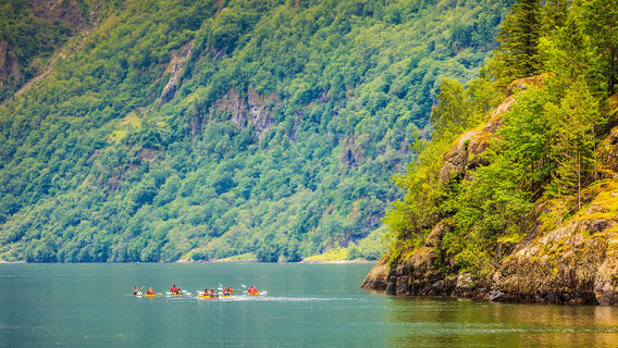 Queen Charlotte Sound / Tōtaranui