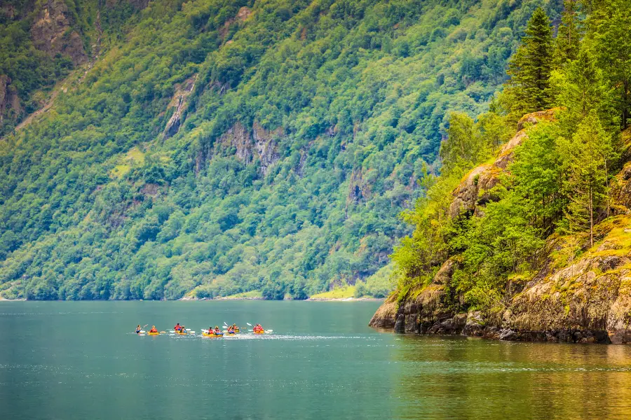 Queen Charlotte Sound / Tōtaranui