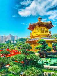 【去咗京都金閣寺！？其實係南蓮池園】#我好挂住！