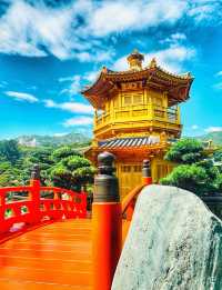 【去咗京都金閣寺！？其實係南蓮池園】#我好挂住！