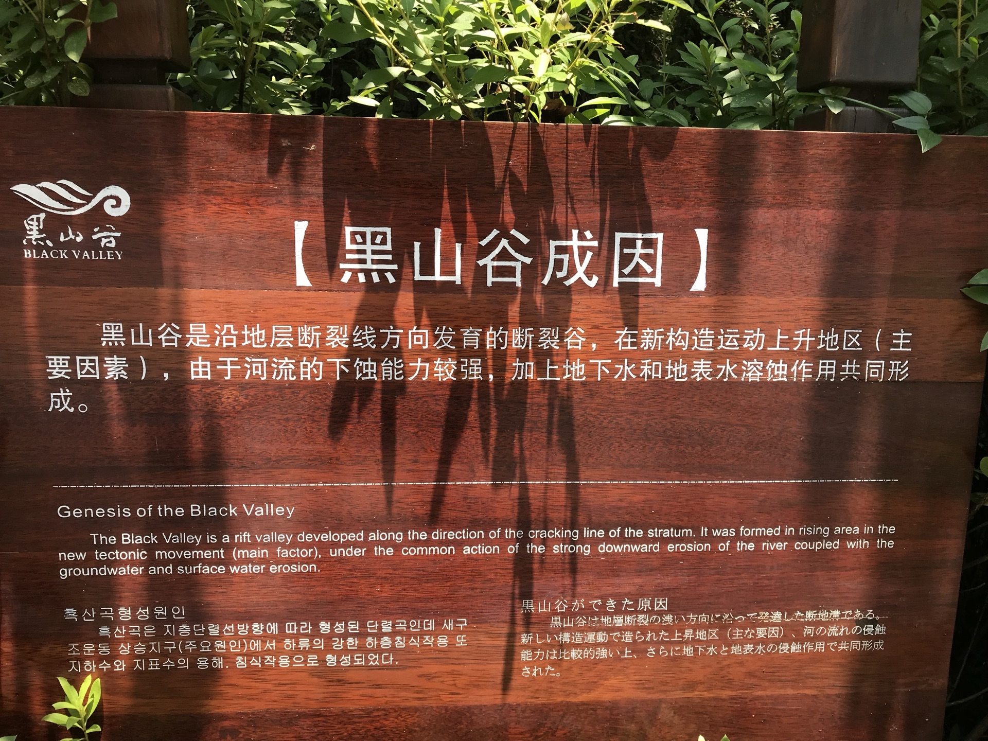黑山谷風景區旅遊攻略指南 黑山谷風景區評價 黑山谷風景區附近推薦 Trip Com