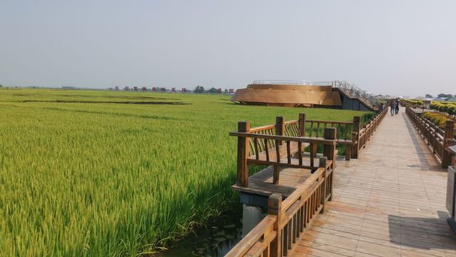 Hongguang Rice Field Park