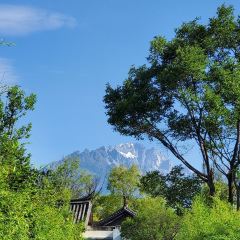 Ming Yue (Banyan Tree Lijiang) ảnh của người dùng