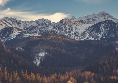 Татровский повят