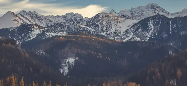 Hotels in Tatra County
