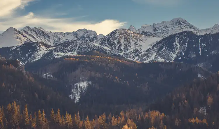 Tatra County