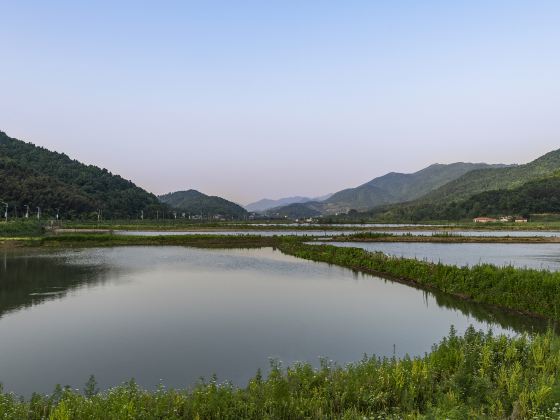 Baochonghu Sceneic Area