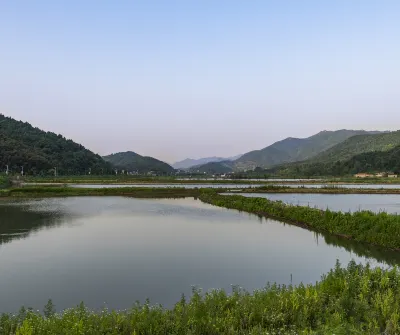 安慶 飛 茨城