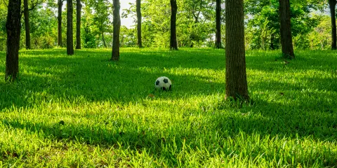 太行山森林公園