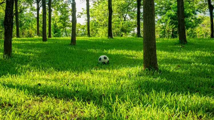 Hotels near Taixing Mountain Forest Park