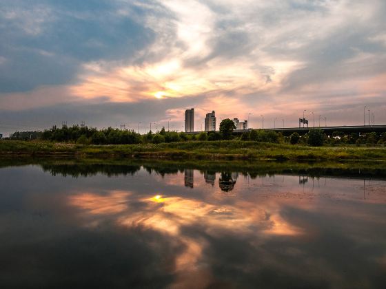 皇粮浜湿地公園