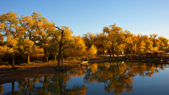 Ejina Huyang Hero Film City