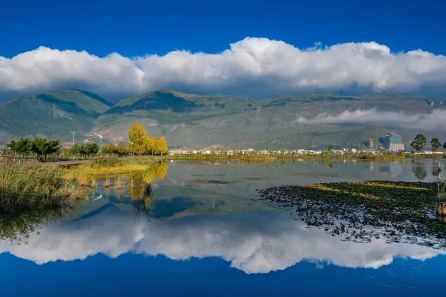 Family Friendly Hotels in Yunlong