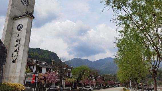 Zhongba Workshop Town