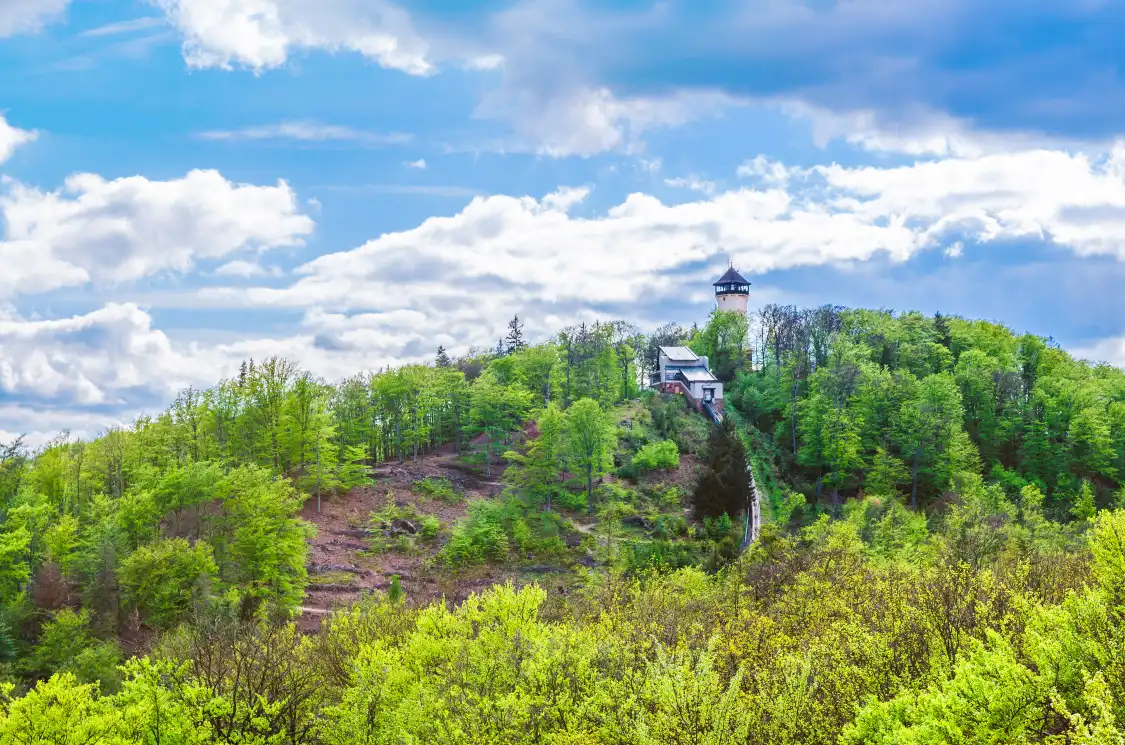 Hotels near Diana Observation Tower