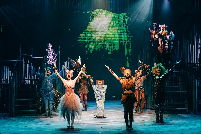 Panda the Musical | Panda Theater