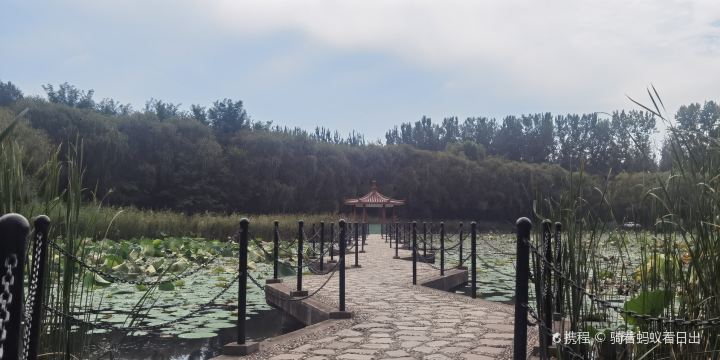 Luanzhou Forest Park