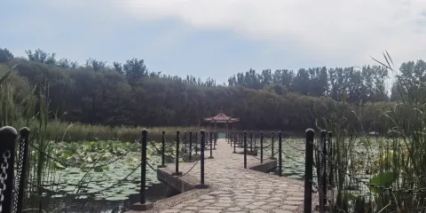 灤縣森林公園