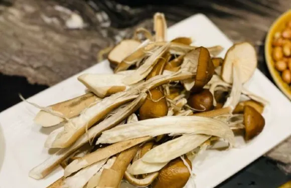 菌王府