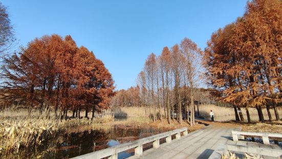 虎丘湿地公园的地方还是挺大的，分了好几个区，走完一圈，估计要