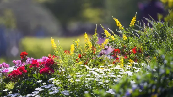 Korea Expressway Corporation Arboretum (Jeonju Arboretum )