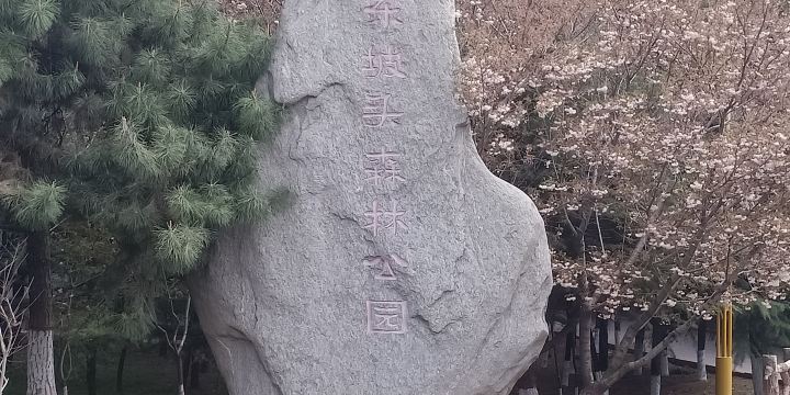 Dongpotou Forest Park