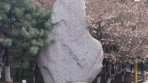 Dongpotou Forest Park