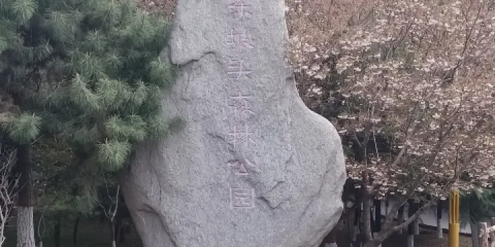 東坡頭森林公園