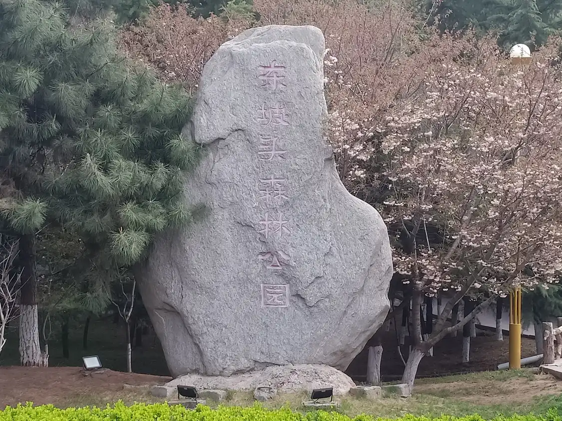 Hotels near Dongpotou Forest Park