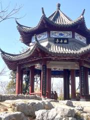 The Peony Pavilion