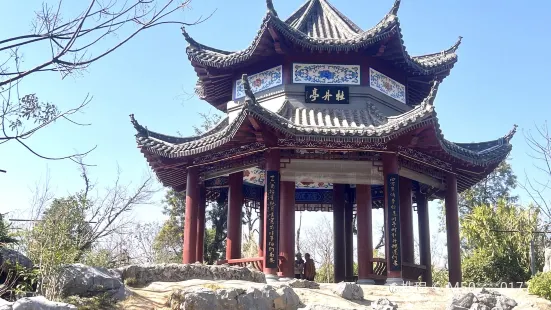 The Peony Pavilion